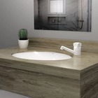 Torneira Para Lavatório Plástica Branca | Japi